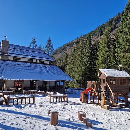 Cabana Conacul Ursului Cumpăna Exterior foto